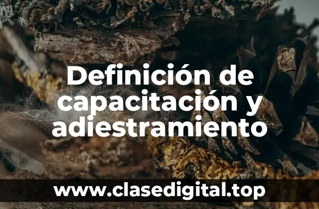 Definición de capacitación y adiestramiento