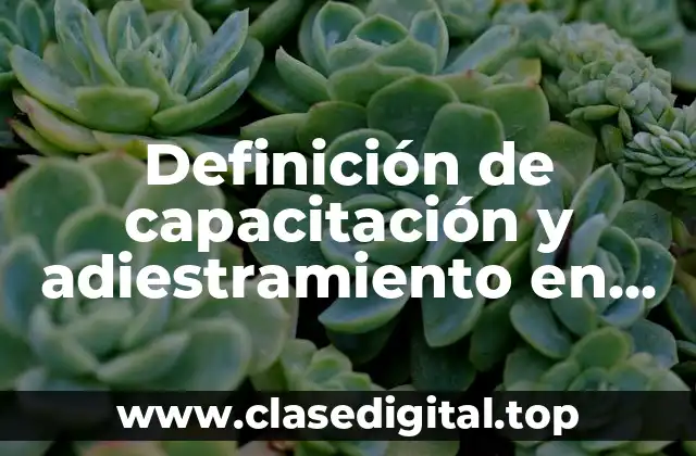 Definición de capacitación y adiestramiento en las organizaciones