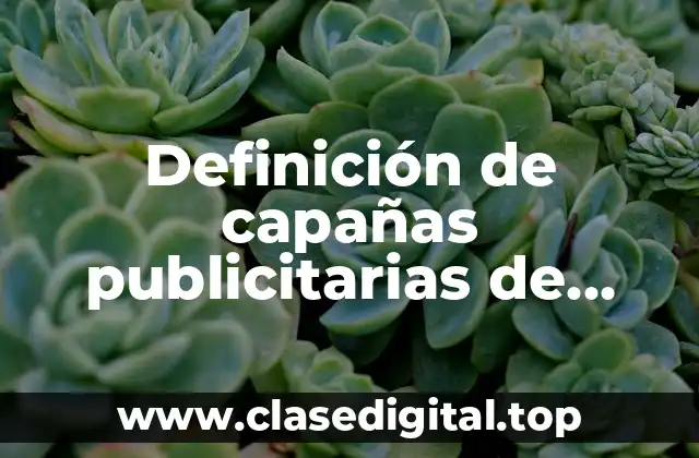 Definición de capañas publicitarias de papas naturales