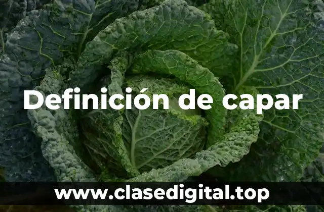 Definición de capar