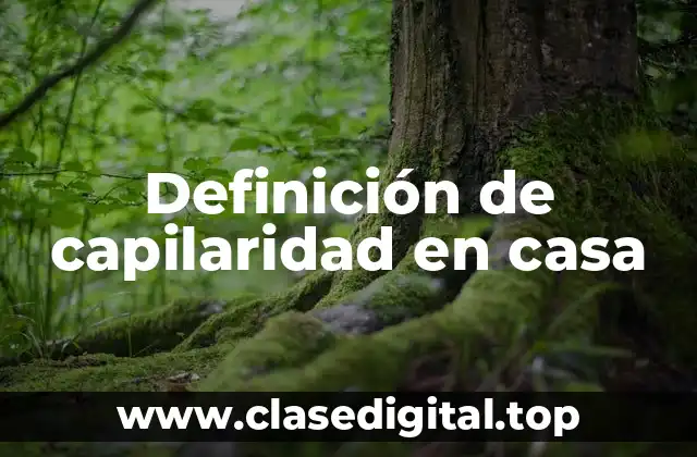Definición de capilaridad en casa