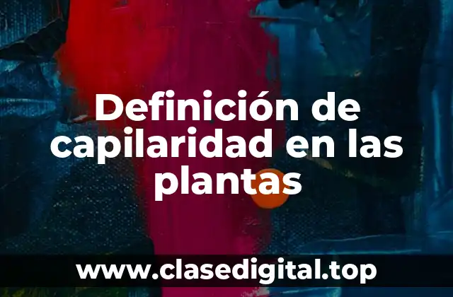 Definición de capilaridad en las plantas