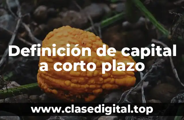 Definición de capital a corto plazo