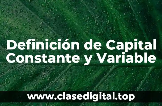 Definición de Capital Constante y Variable