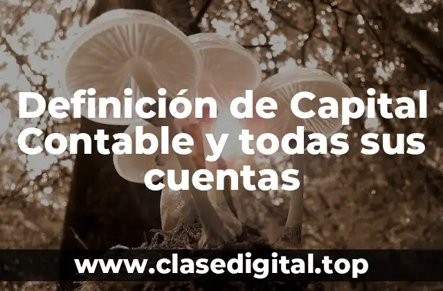 Definición de Capital Contable y todas sus cuentas