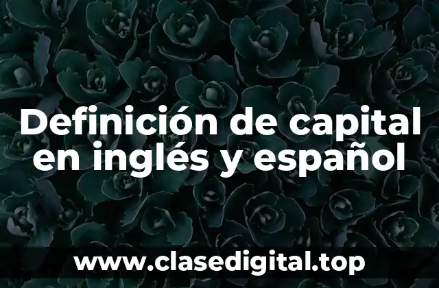 Definición técnica de capital