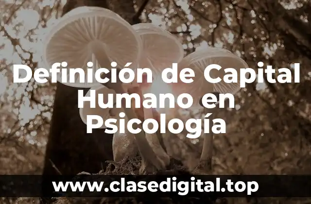 Definición Técnica de Capital Humano