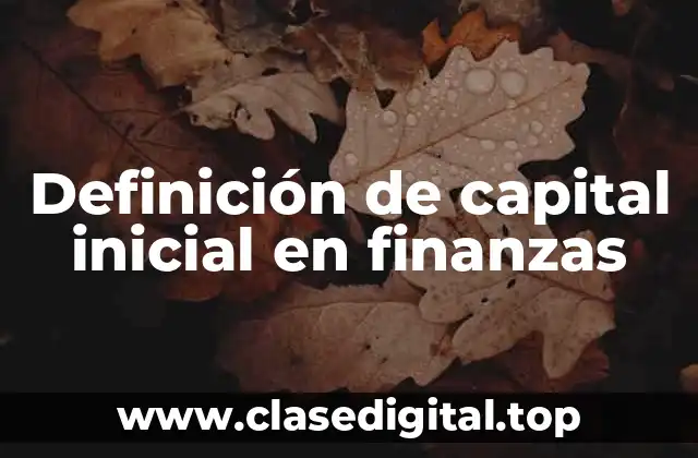 Definición de capital inicial en finanzas