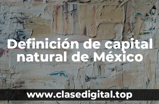 Definición de capital natural de México