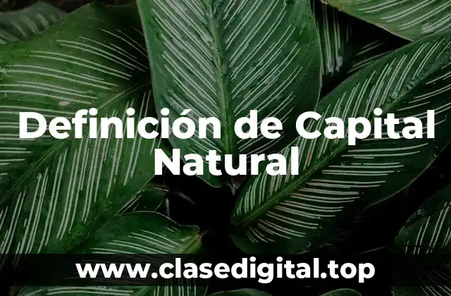 Definición de Capital Natural