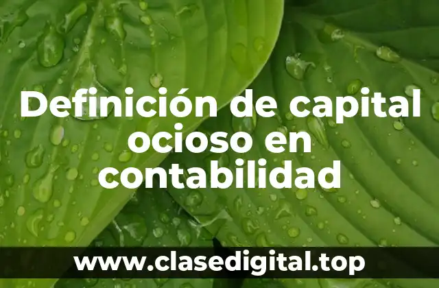 Definición técnica de capital ocioso