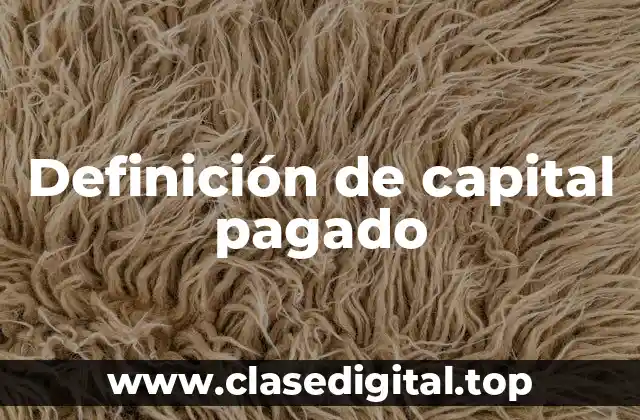 Definición de capital pagado