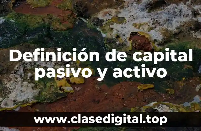 Ejemplos de capital pasivo y activo