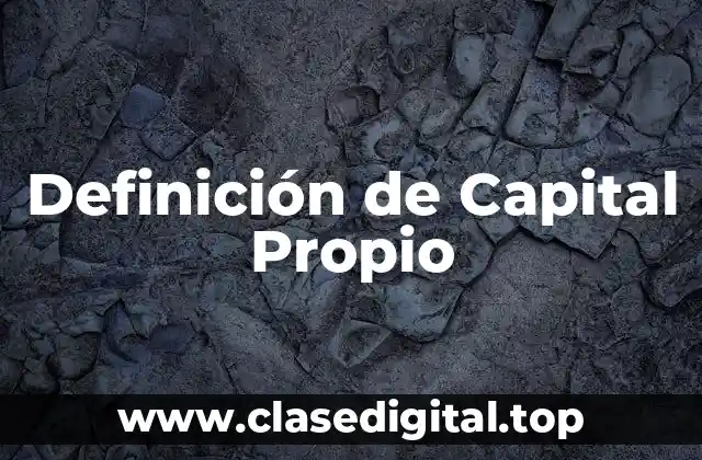 Definición Técnica de Capital Propio