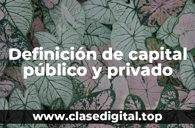 Definición de capital público y privado