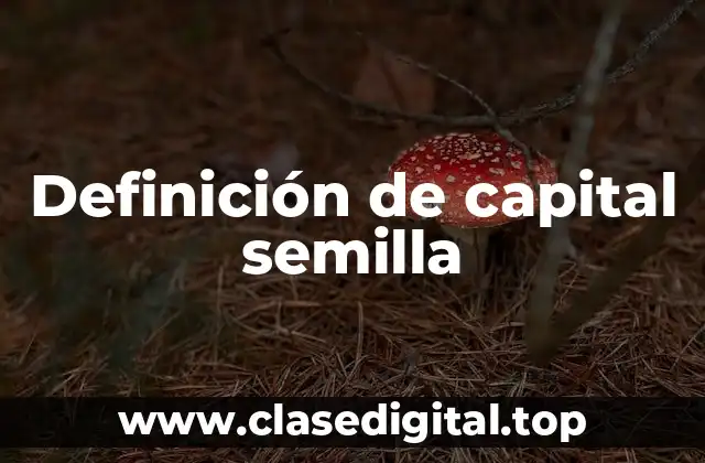 Definición de capital semilla