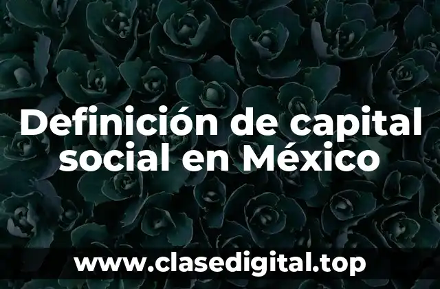 Definición de capital social en México