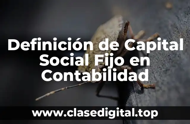 Definición de Capital Social Fijo en Contabilidad