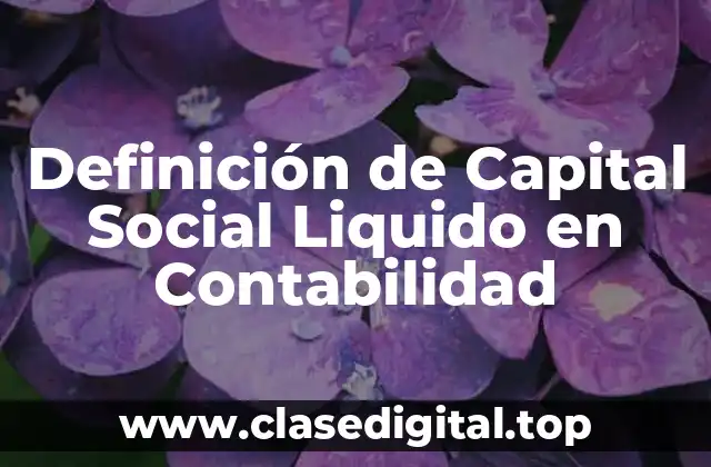 Definición de Capital Social Liquido en Contabilidad