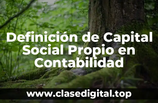 Definición de Capital Social Propio en Contabilidad