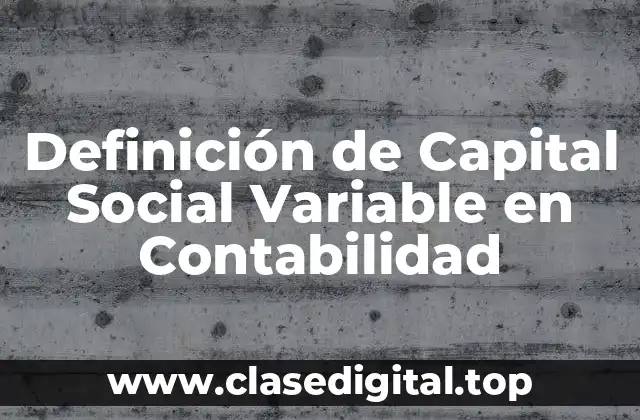 Definición de Capital Social Variable en Contabilidad