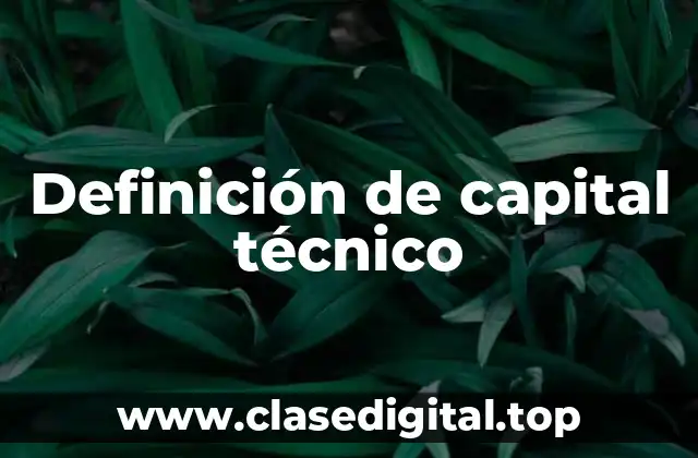 Definición de capital técnico
