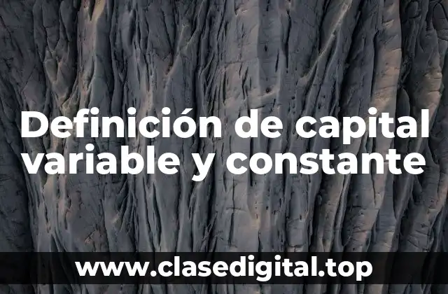 Ejemplos de capital variable y constante