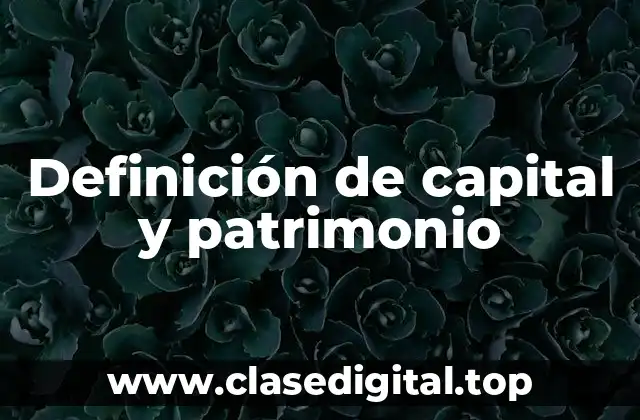 Definición de capital y patrimonio