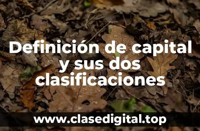Definición de capital y sus dos clasificaciones