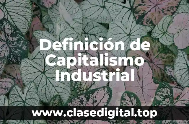 Definición de Capitalismo Industrial