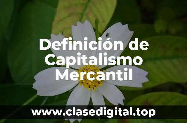 Definición de Capitalismo Mercantil