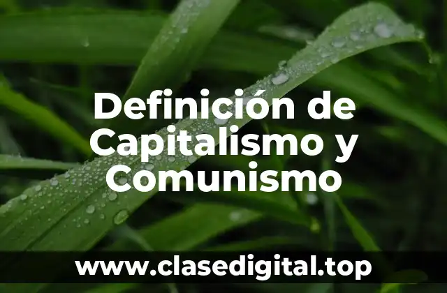 Definición de Capitalismo y Comunismo