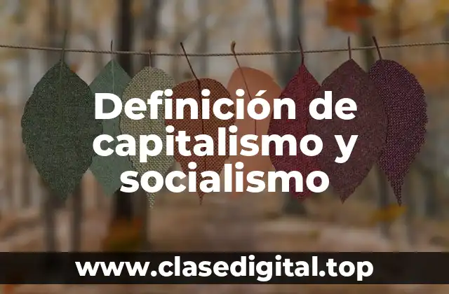 Definición de capitalismo y socialismo