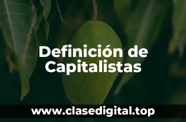 Definición de Capitalistas