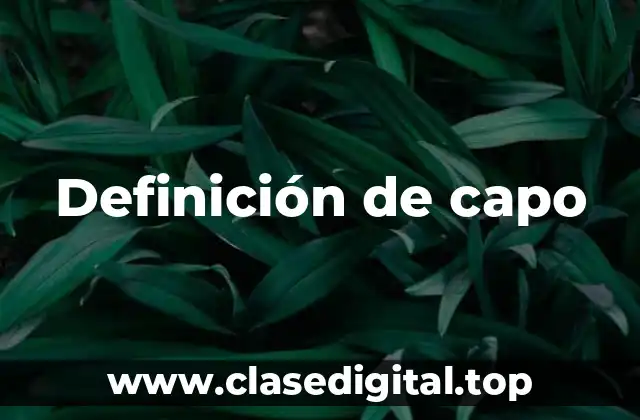 Definición de capo