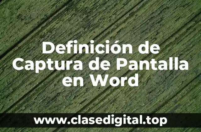Definición de Captura de Pantalla en Word