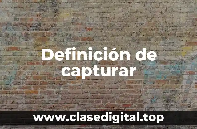 Definición de capturar