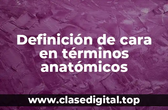 Definición técnica de cara en términos anatómicos
