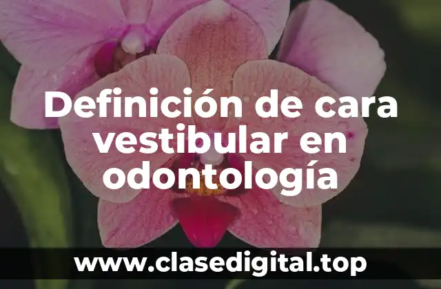 Definición de cara vestibular en odontología