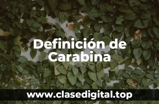 Definición de Carabina