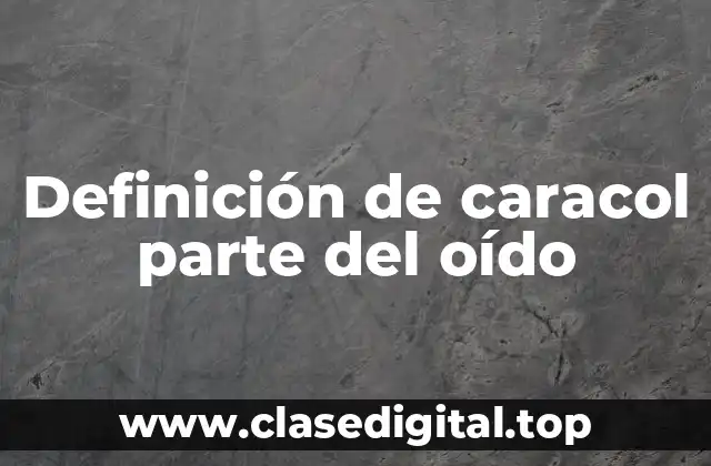 Definición de caracol parte del oído