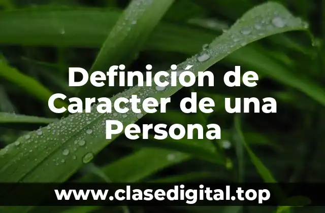 Definición de Caracter de una Persona