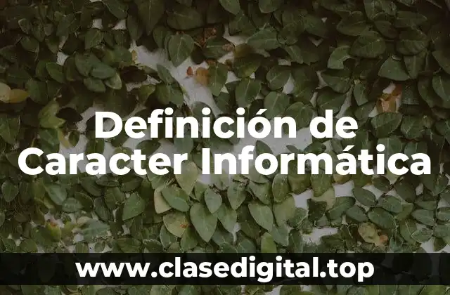 Definición de Caracter Informática