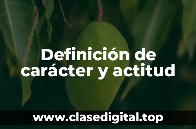 Definición de carácter y actitud