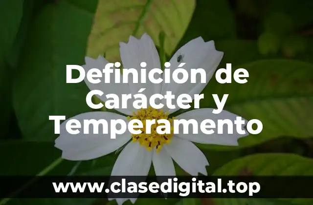 Definición de Carácter y Temperamento