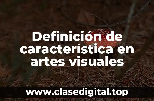 Definición de característica en artes visuales