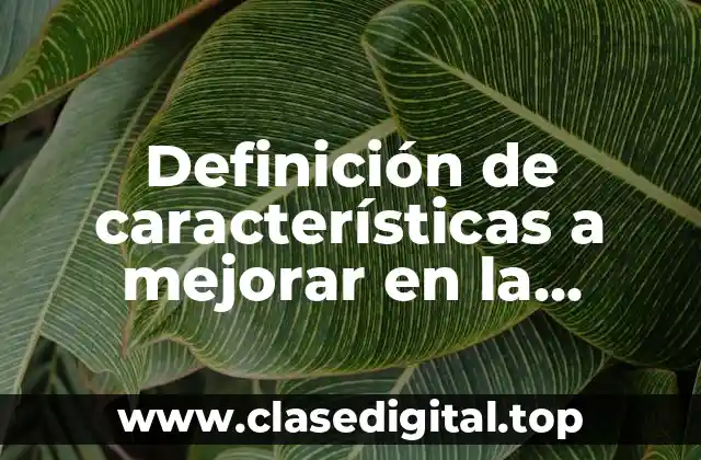 Definición de características a mejorar en la práctica docente