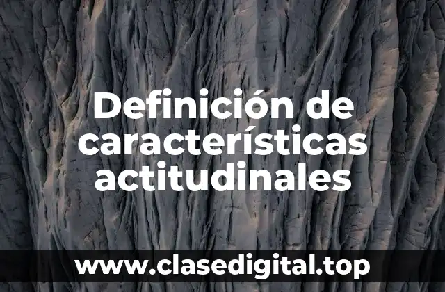 Definición de características actitudinales