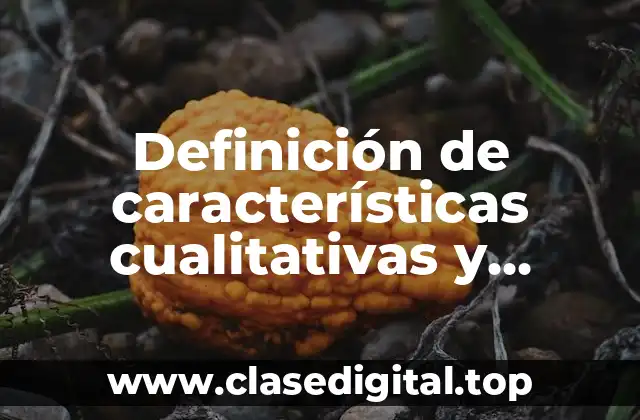 Definición de características cualitativas y cuantitativas