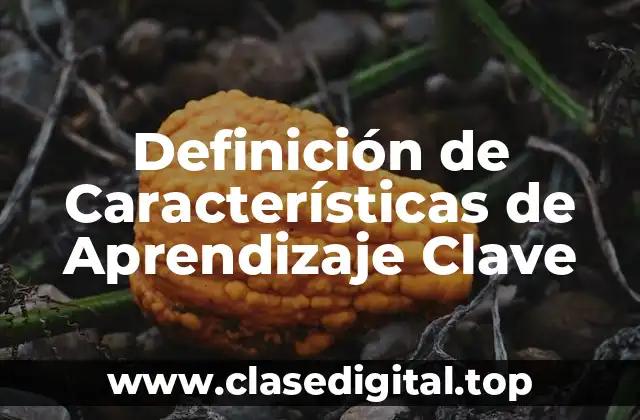 Definición de Características de Aprendizaje Clave